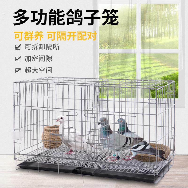 家用加粗鸽子笼子鸽子用品折叠带隔断配对繁殖鸽子笼鸽子养殖笼子