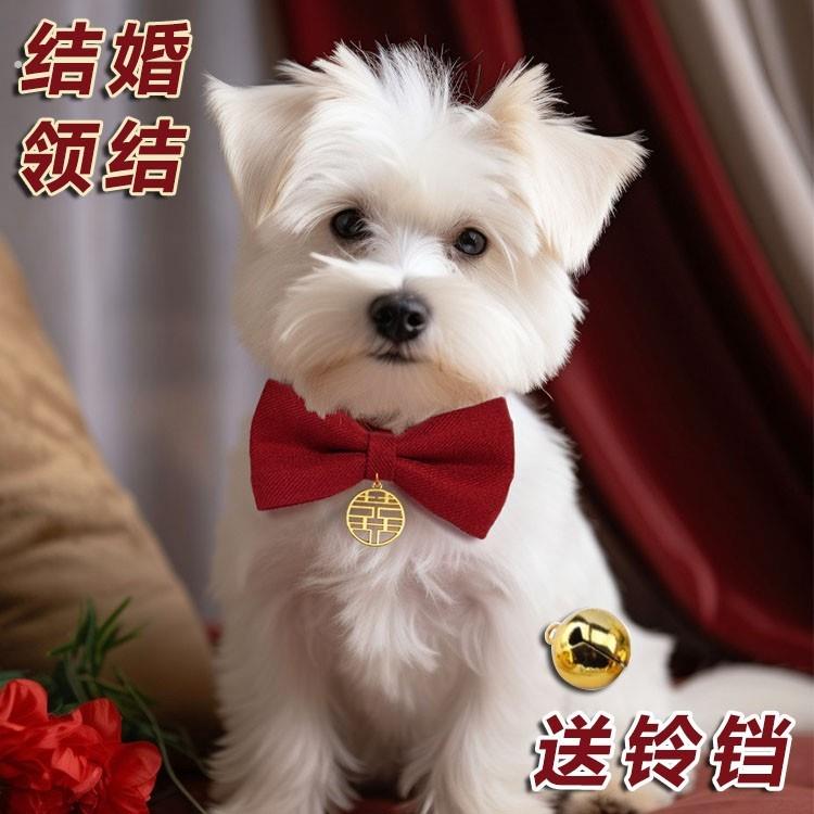 宠物猫咪狗狗结婚喜庆领结蝴蝶结红色大狗装饰脖圈颈圈项链通用