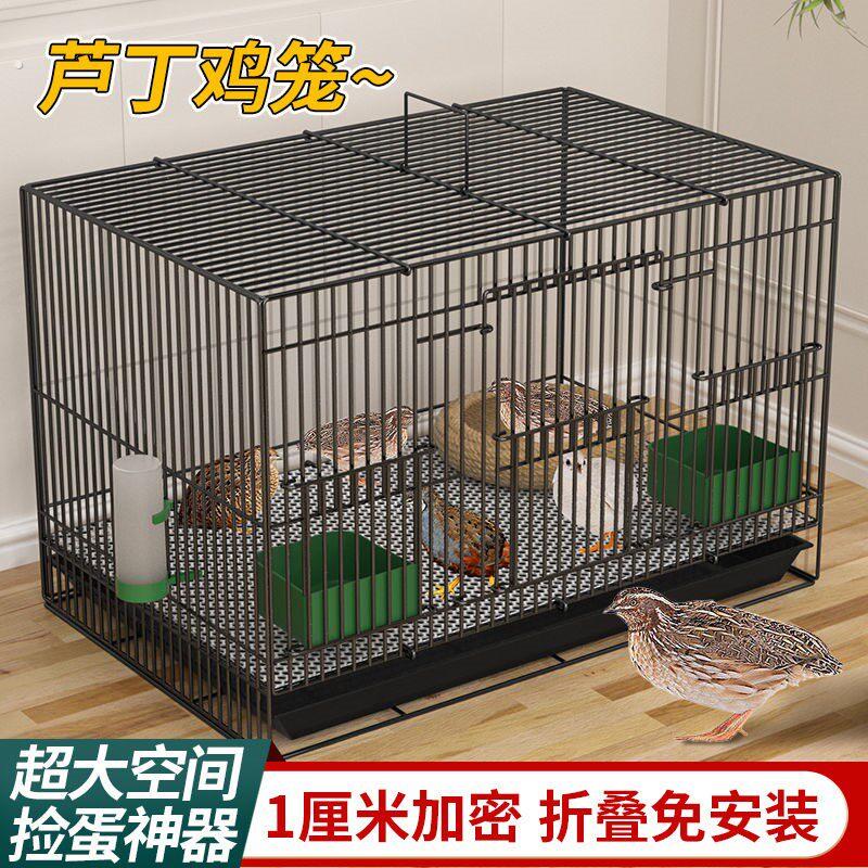 芦丁鸡专用养殖笼子家用加密大号芦丁鸡铁丝笼小鸡小鸭子鹌鹑鸟笼