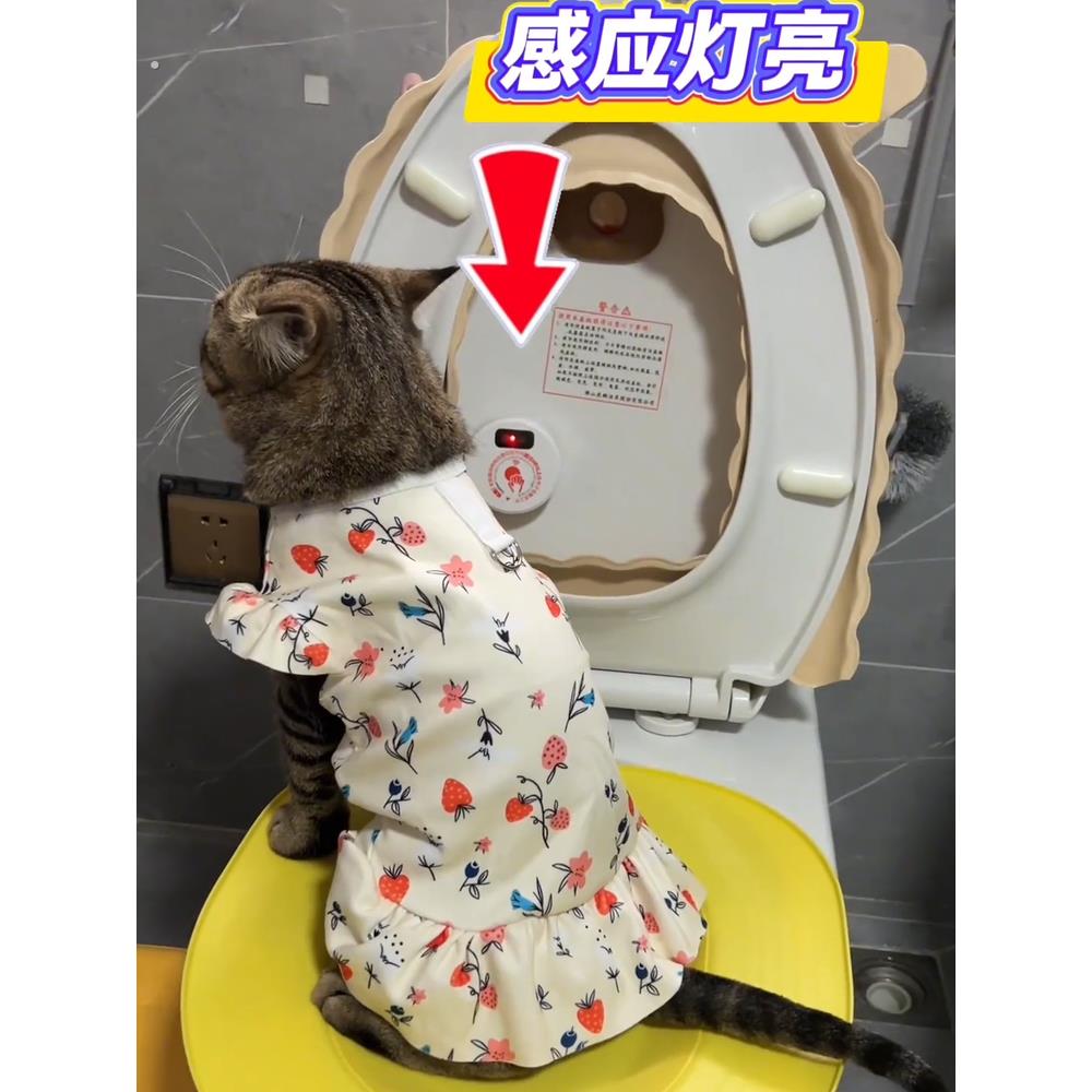 猫咪马桶训练器宠物全自动冲水厕所幼猫智能清理防外溅蹲坑猫砂盆