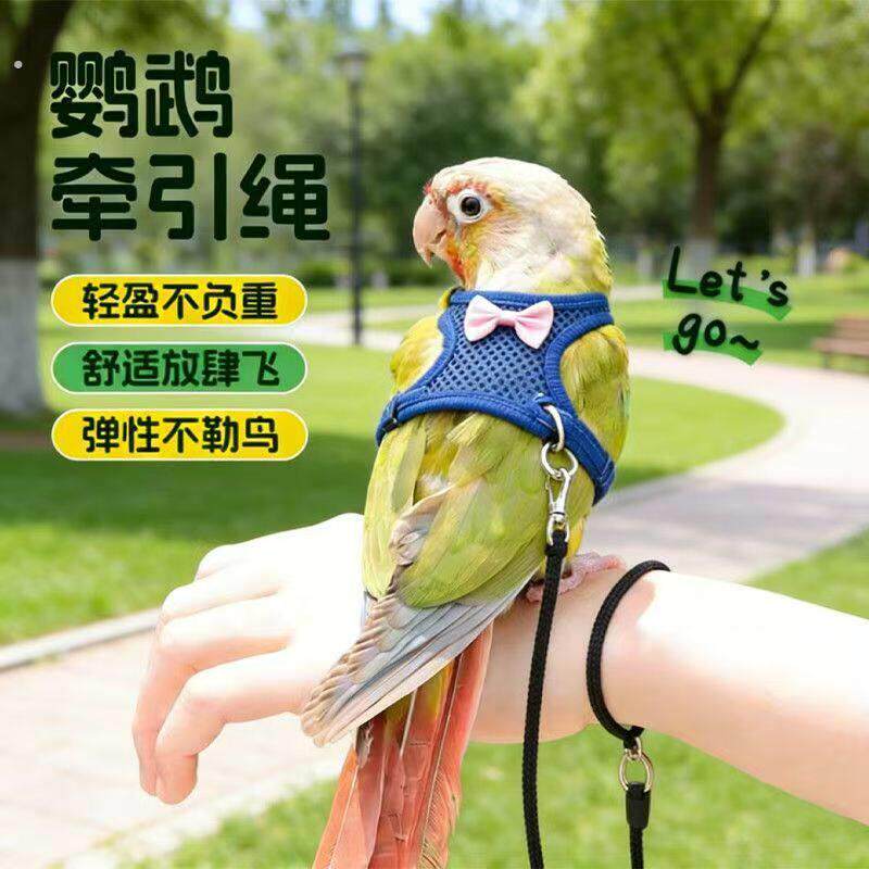 鹦鹉放飞服外出牵引绳虎皮牡丹小太阳玄凤防丢背心衣服