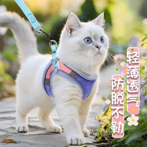 猫咪牵引绳溜猫绳猫抱婴袋背心式胸背防挣脱猫咪专用兔子狗狗外出