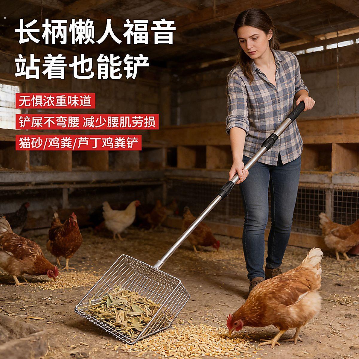 鸡粪清理神器特大号鸡屎铲加长手柄猫砂铲不锈钢伸缩芦丁鸡清洁铲
