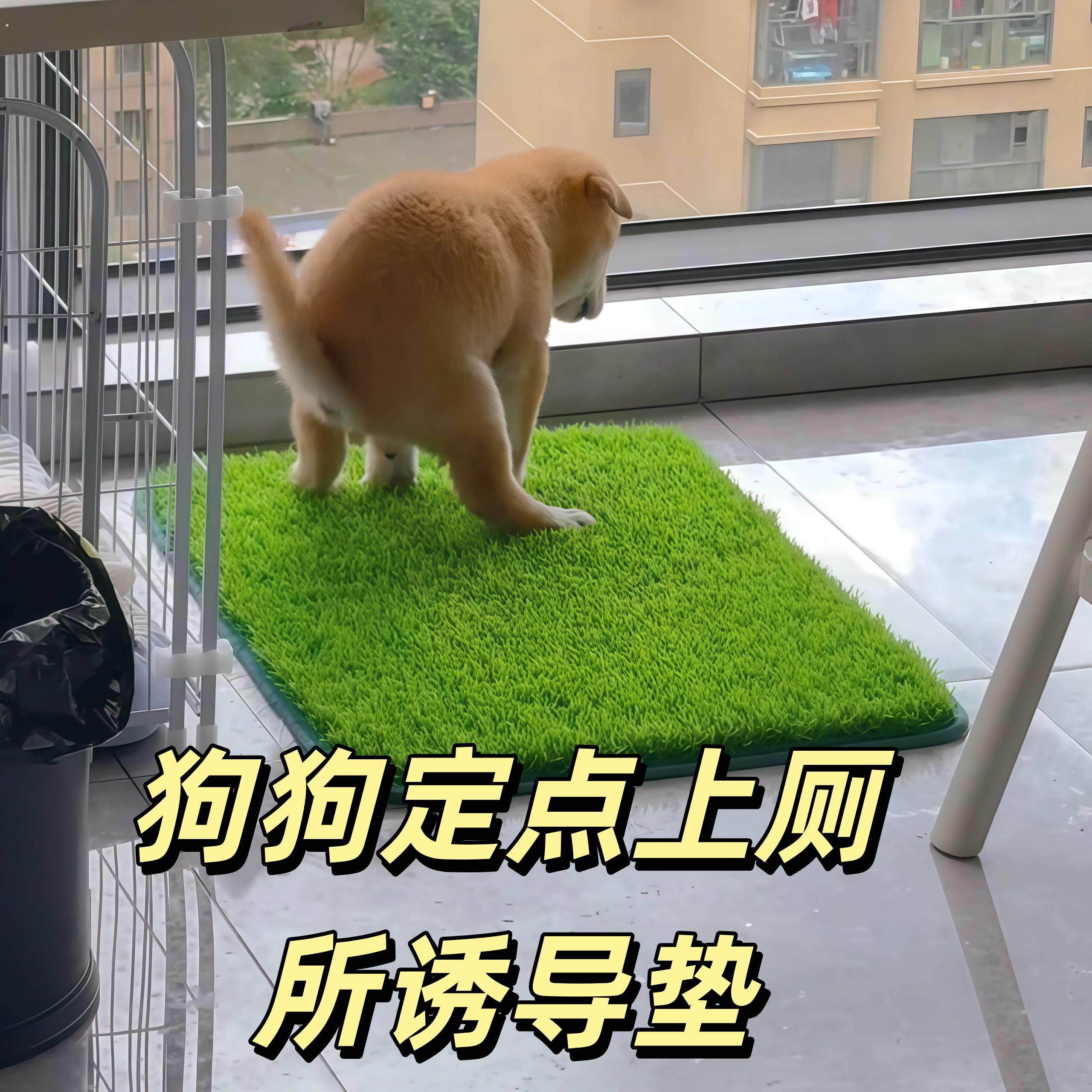 仿真草坪狗厕所狗狗专用定点上厕所诱导尿垫宠物猫咪用固定假草皮