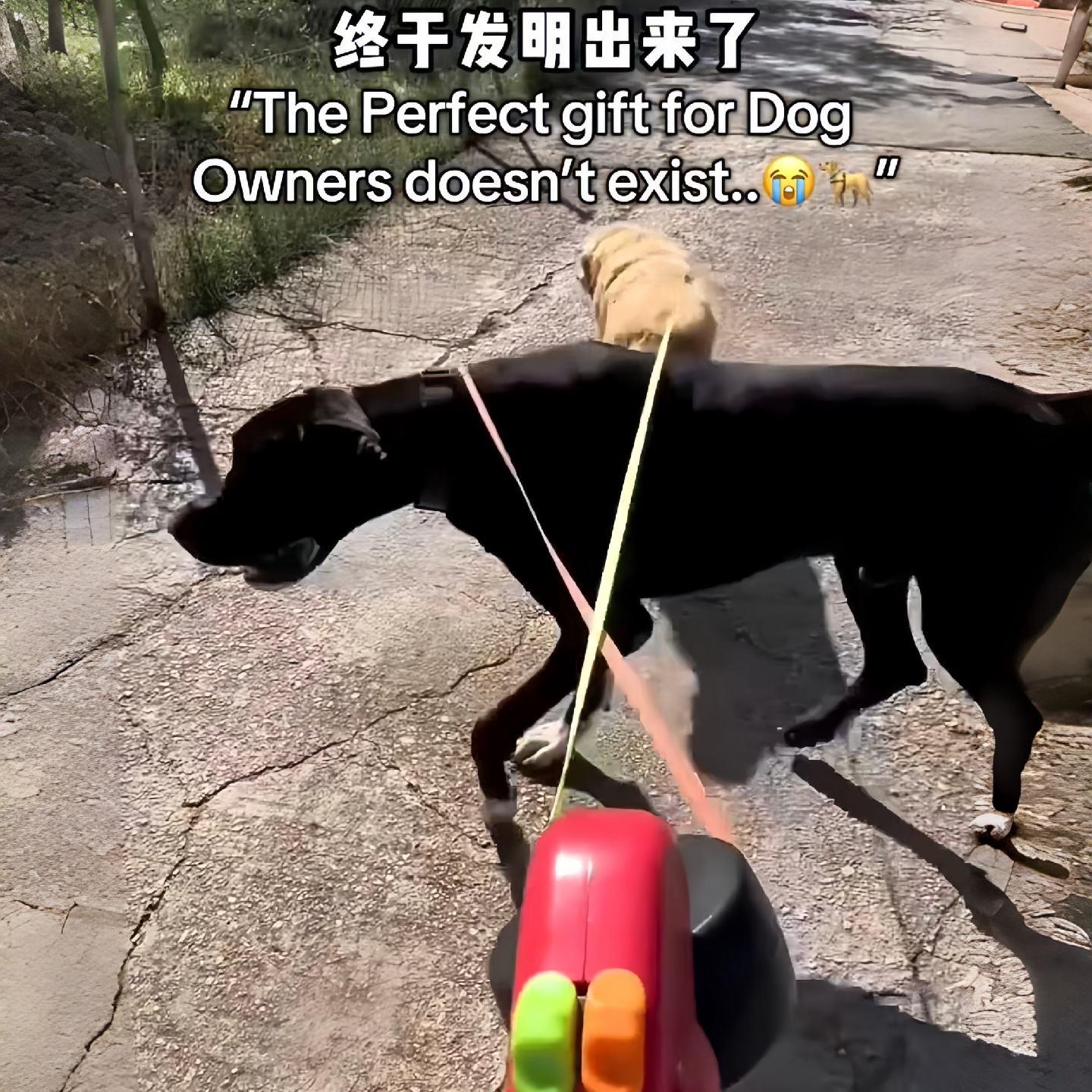 一拖二狗狗牵引绳小型犬中型犬自动伸缩遛狗绳可旋转防缠绳双头绳图片
