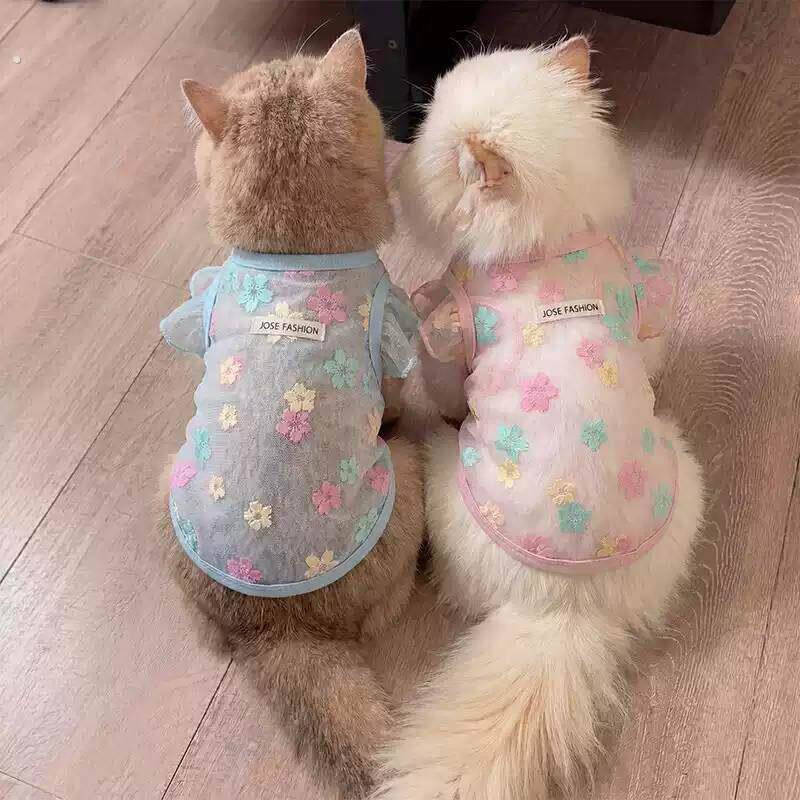 猫咪衣服防掉毛夏季薄款背心小狗防晒衣透气德文无毛猫布偶猫衣服