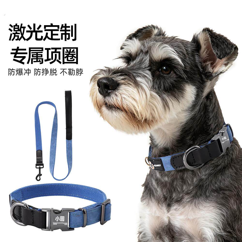 刻字防丢狗狗项圈牵引绳小型犬中大型犬狗脖套牵引带防丢神器