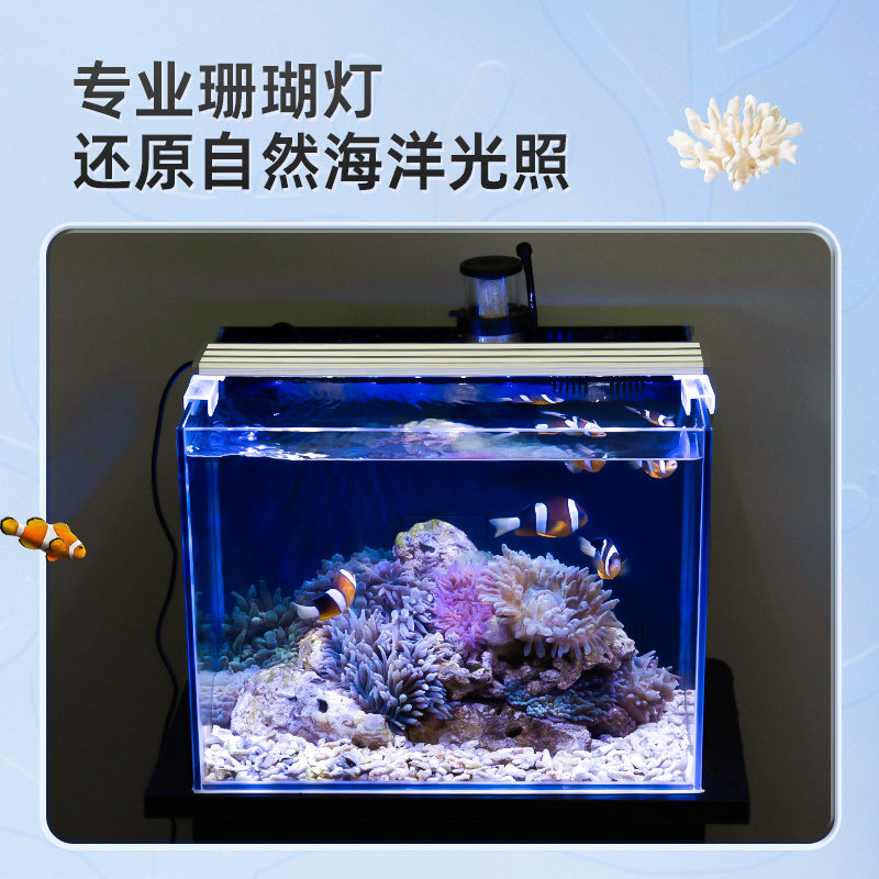 喜高海水缸小型创意造景背滤桌面客厅办公室家用小鱼海缸全套设备