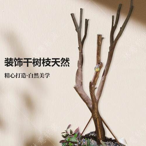 天然去皮大树诧寂风纯实木树干圆柱装饰客厅民宿造型造景隔断摆件