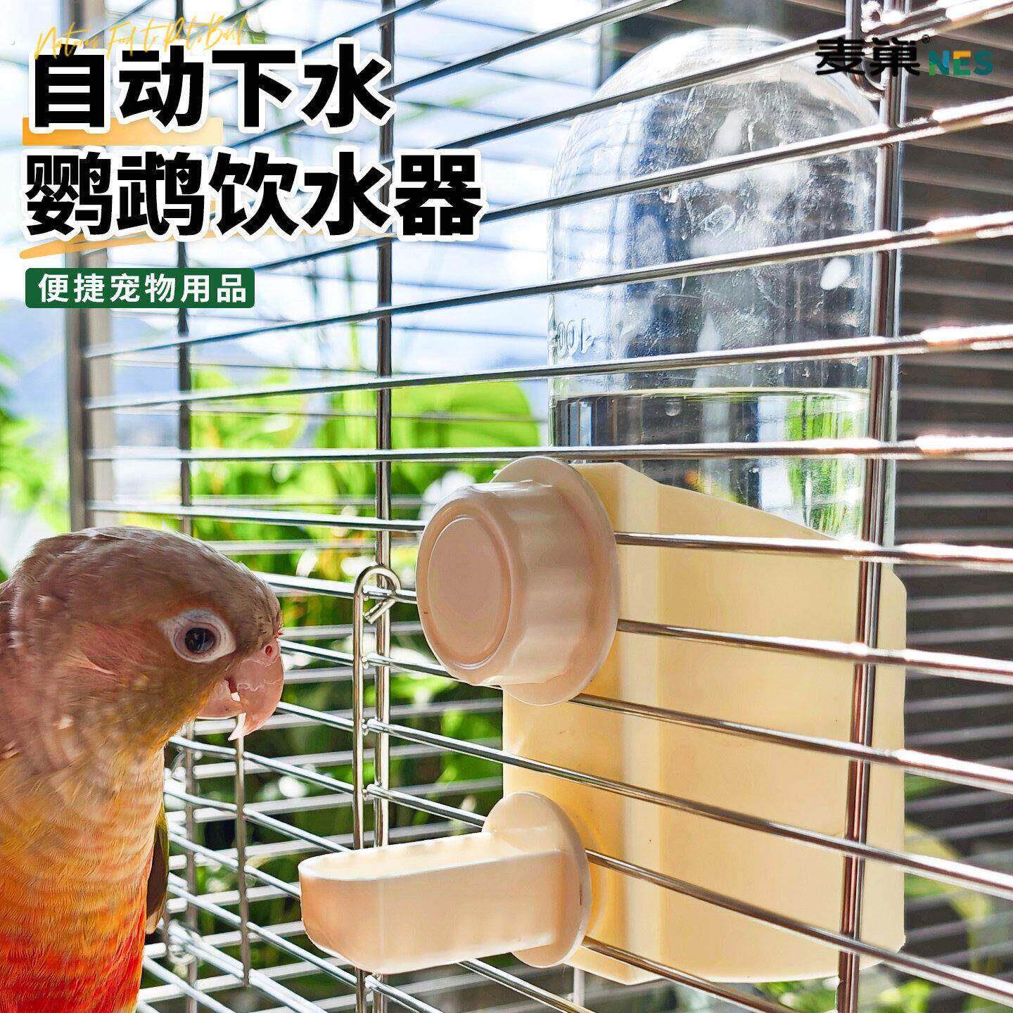 鹦鹉饮水器小鸟自动喂水防溅撞针水壶专用大容量横竖丝外置喝水器
