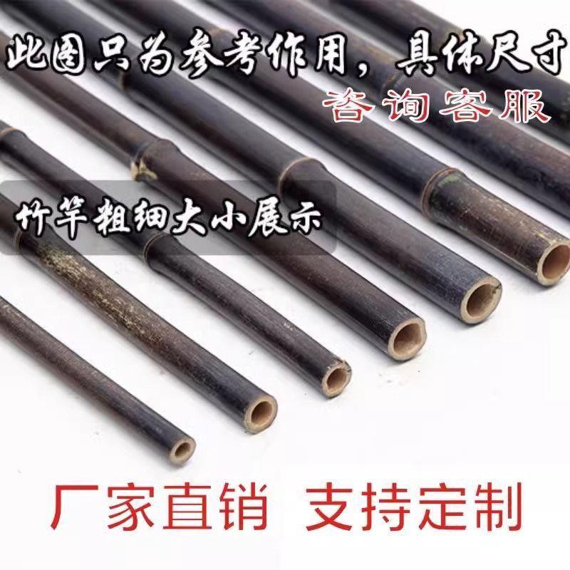 天然紫竹杆料粗细大竹竿教鞭篱笆栅栏文玩老竹子围栏栅栏爬藤装饰