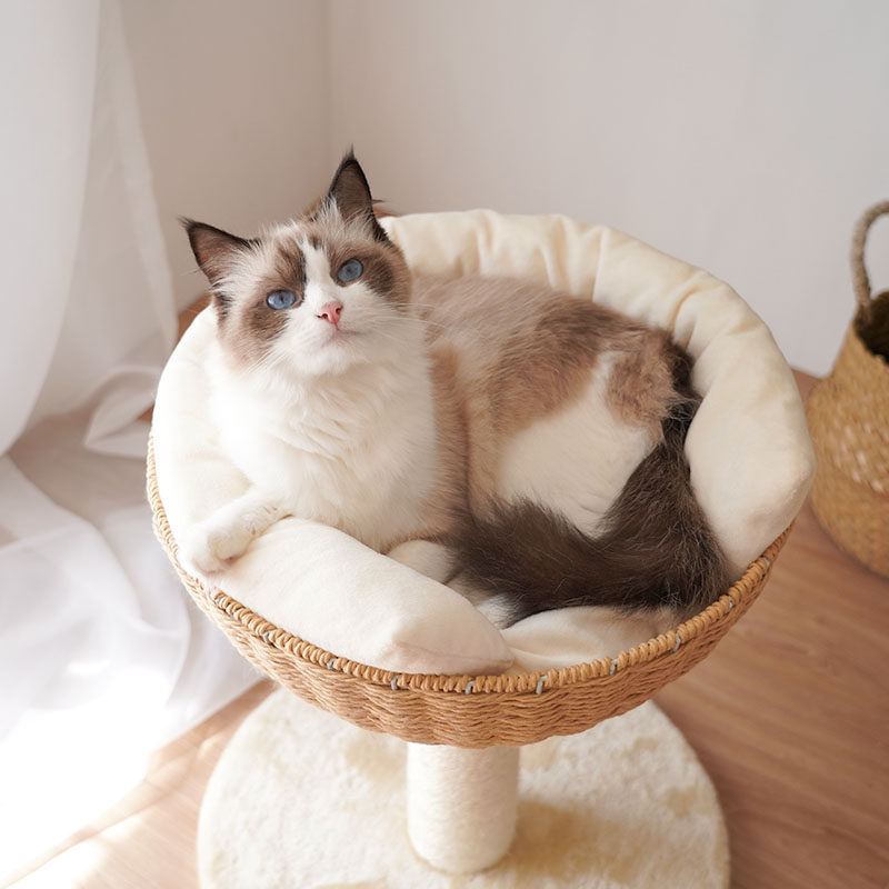 夏季藤编猫窝清凉藤编小型猫窝爬架一体猫抓板窝圆形加高猫吊床