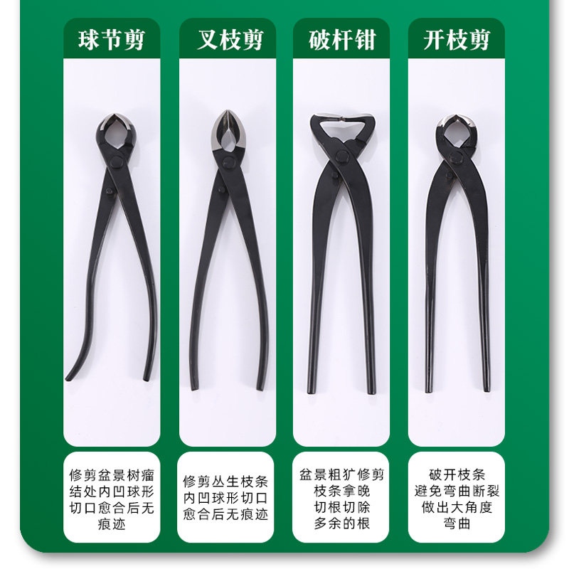叉枝斜口剪盆景修剪造型专用工具不锈钢园艺盆栽制作斜球钳枝剪刀