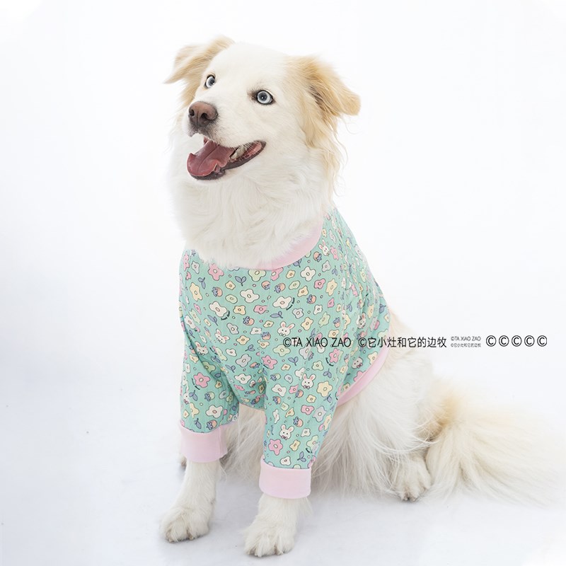 它小灶狗狗护肘衣护肘服大型犬肘部保护肘子磨损护膝关节防磨护腿