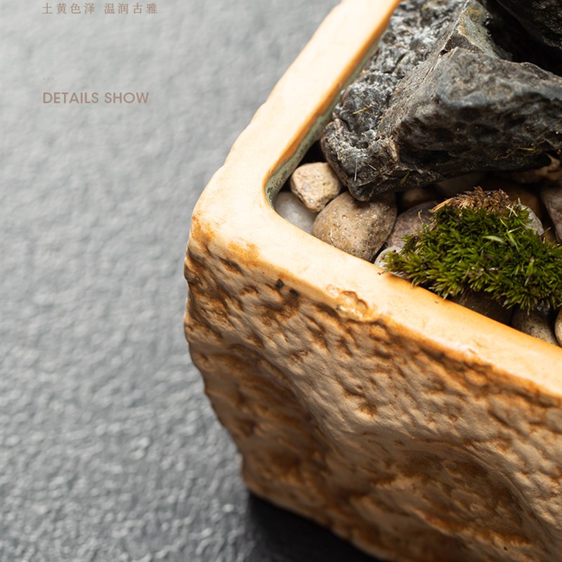 花盆陶瓷大号盆景盆文竹菖蒲铜钱草发财树植物盆栽长方形多肉花盆