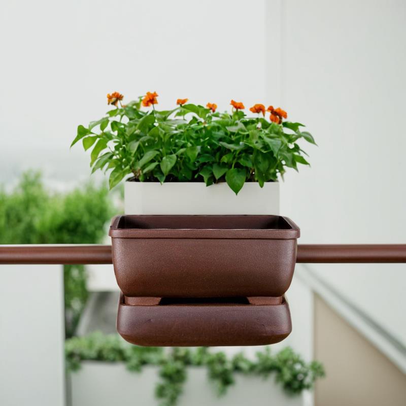 宜兴紫砂花盆精品简约桌面金弹子老鸦柿长方形盆景盆带底座