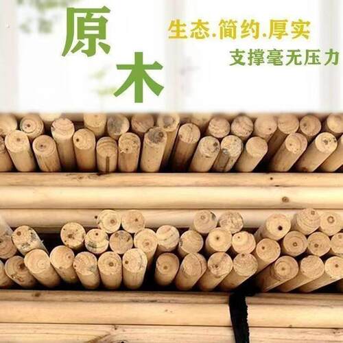 扫把杆拖把杆桉木实心木条园林绿化工程植树支伸缩杆天然多用途木
