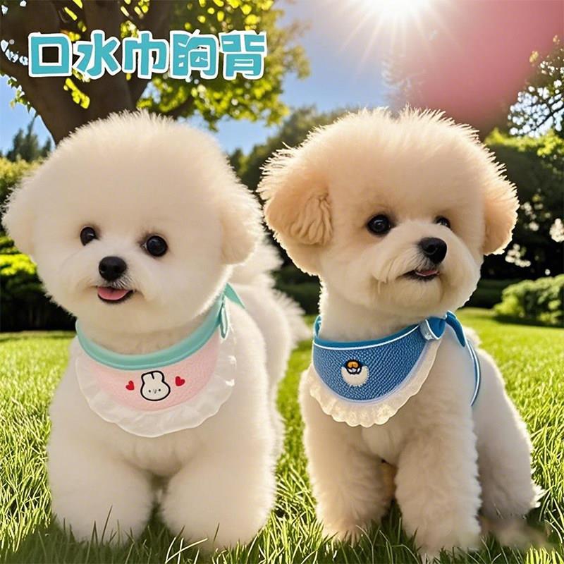 狗狗口水巾胸背牵引绳围兜防脏防舔胸背宠物猫咪透气防挣脱遛狗绳