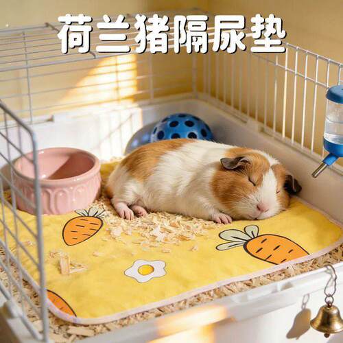 荷兰猪隔尿垫小宠豚鼠睡窝专用除臭防水便捷天竺鼠宠物用品大全