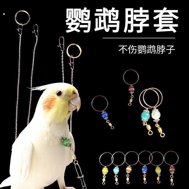 鹦鹉脖套不锈钢玄凤牡丹虎皮栓鸟链遛鸟放飞训练脖圈带链子咬不烂