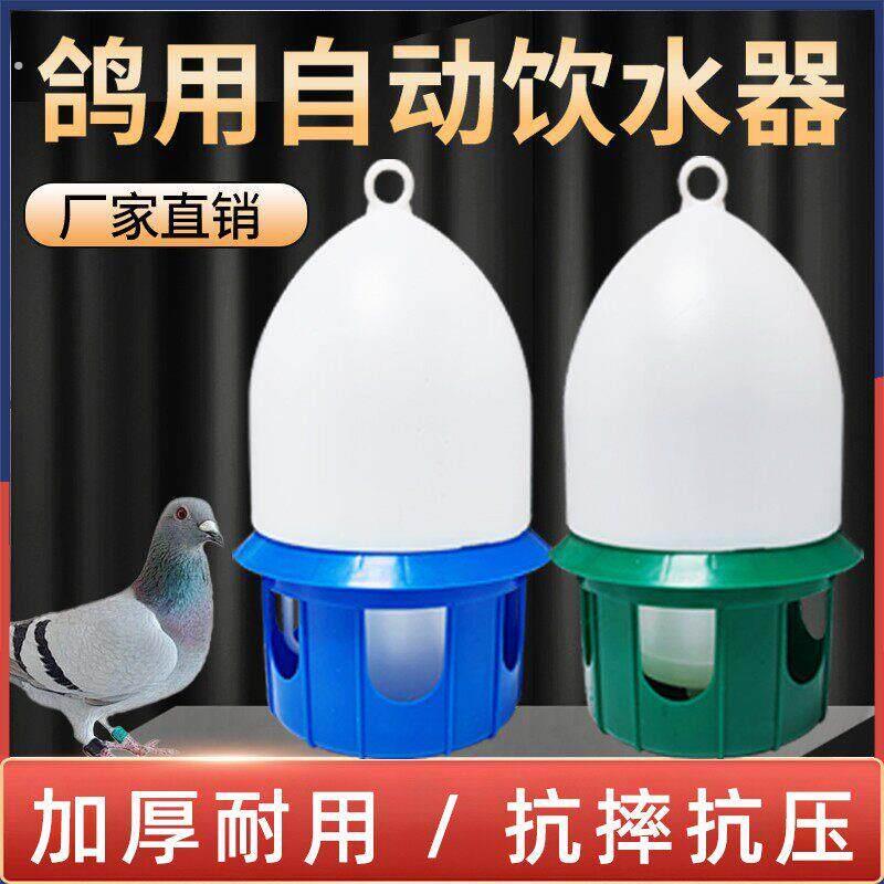 鸽子水壶自动饮水器家禽养殖喝水槽自动饮水器喂水壶养鸽设备专用