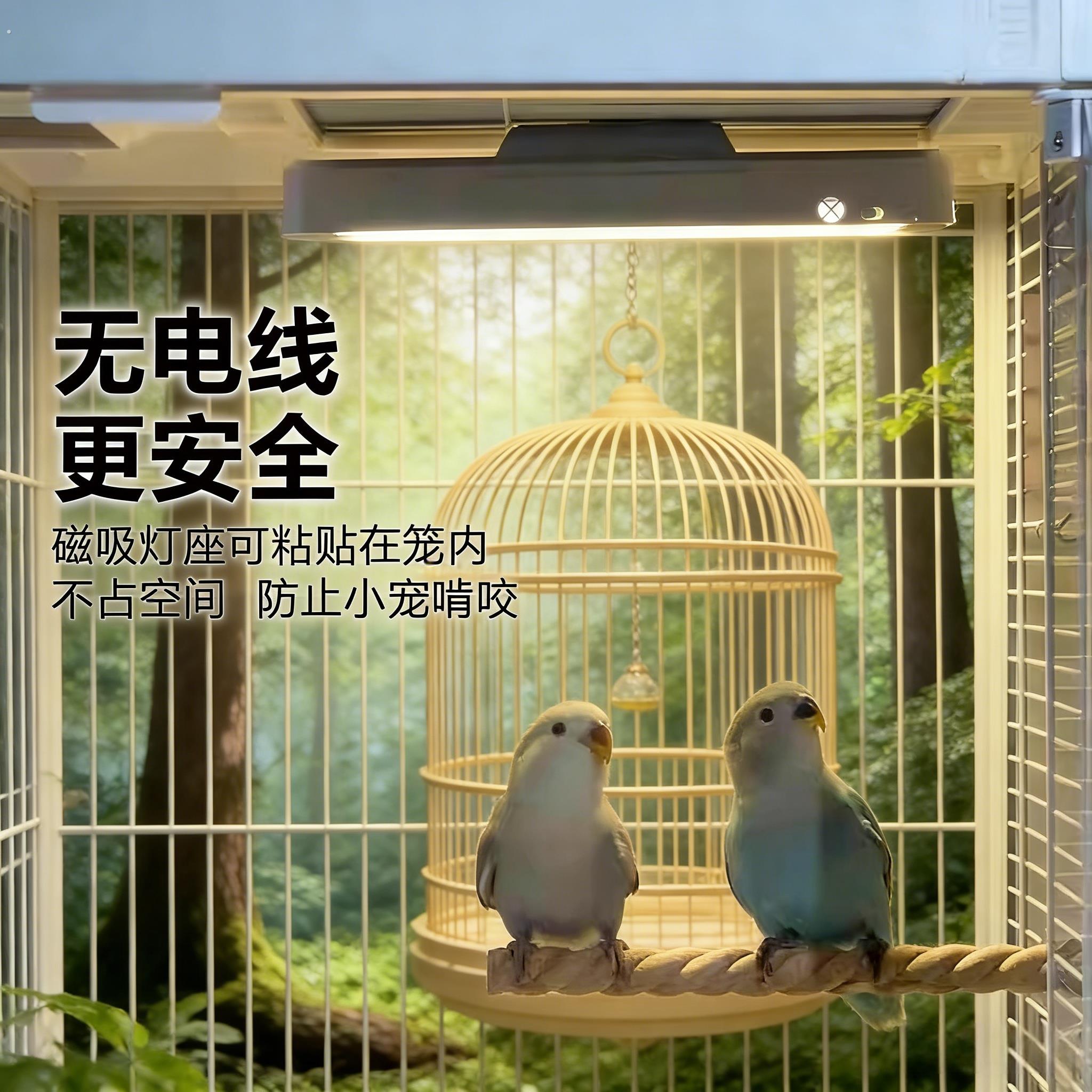 鸟笼气氛灯鹦鹉照明灯达洋鸟笼气氛灯夜灯防炸笼夜间鸟笼用品