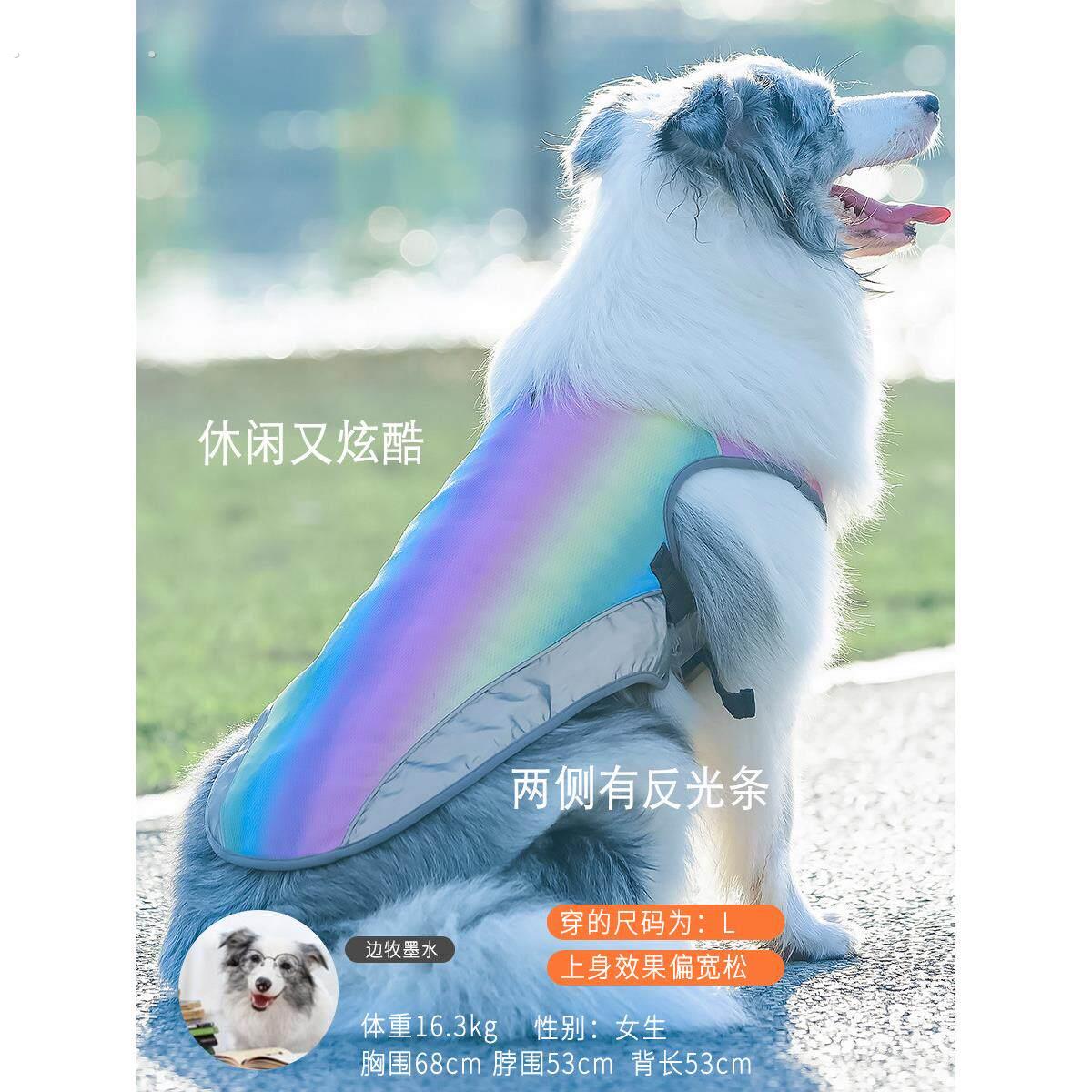 狗凉爽的衣服大狗夏天凉爽的衣服背心胸部和背部感觉夏天边境牧羊