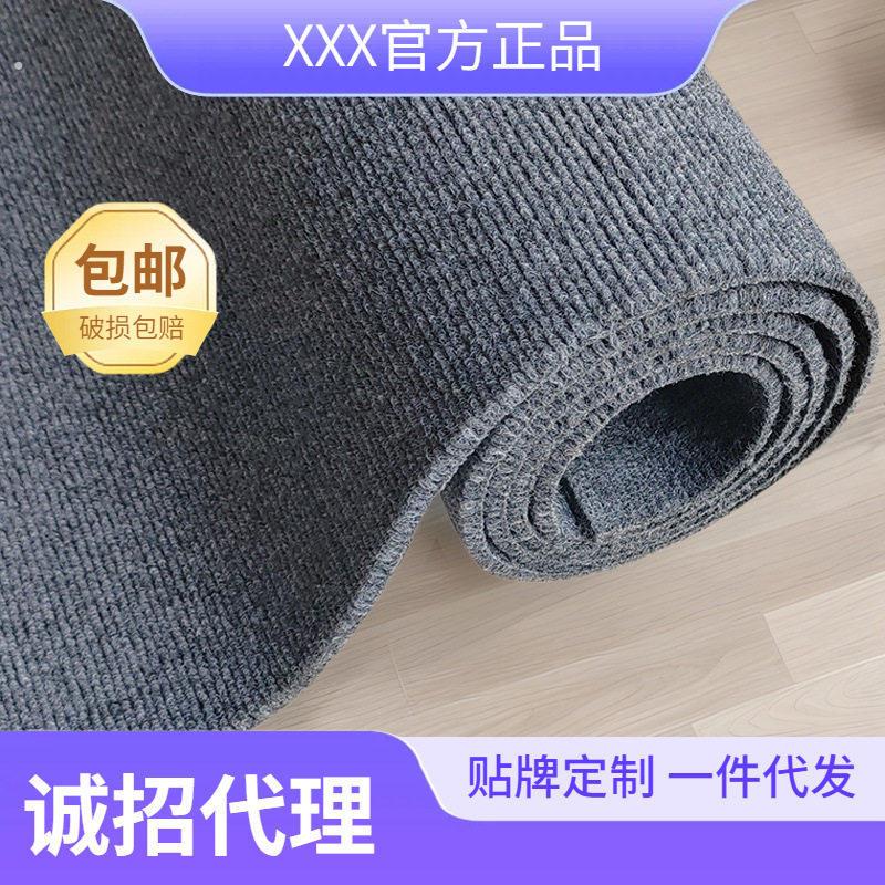 新款 地毯地垫防水地面专用防滑家用防污可裁剪防潮免洗全铺大面
