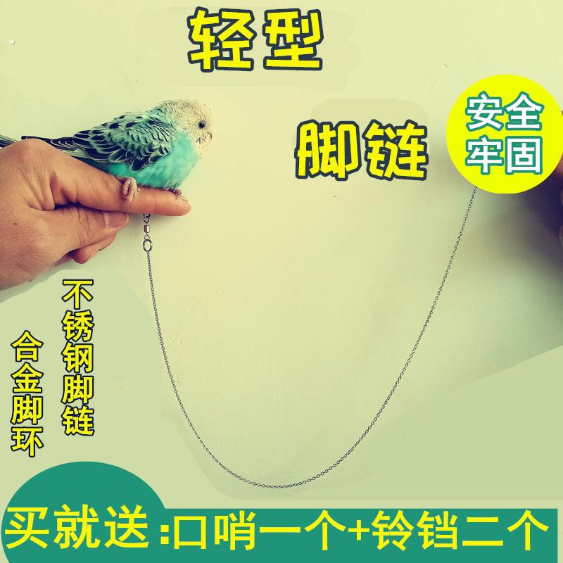不锈钢活扣鹦鹉脚链开口设计 八哥脚环宠物鸟用品站架配件