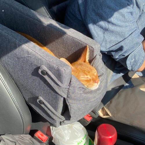 【车载好物】中控车载猫窝狗窝长途扶手箱猫咪垫子舒适外出可拆洗