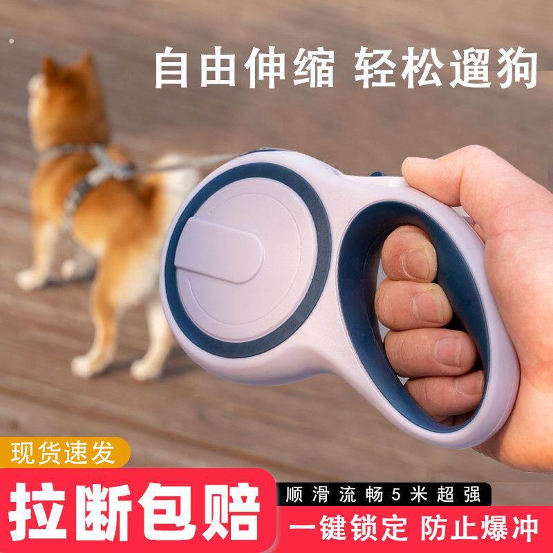 狗狗牵引绳自动可伸缩牵狗绳子宠物中小型犬泰迪柯基柴犬遛狗炼