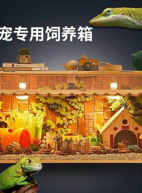 用的甲虫蚕宝宝鹌鹑螃蟹爬虫箱守宫控温壁虎土拨鼠鬃狮蜥蜴大号裸