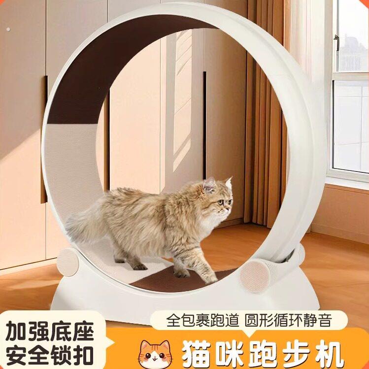 猫咪跑步机滚轮静音环保塑料宠物跑步机猫狗运动健身防夹宽跑道