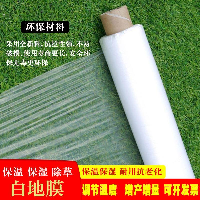 塑料膜透明加厚一次性地膜薄款农用地膜家用盖辣椒耐用撕不烂玉米