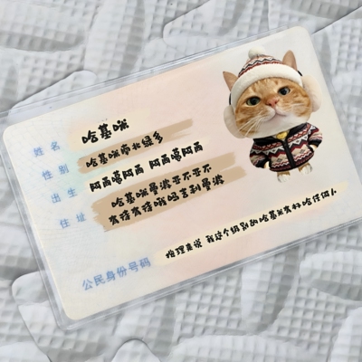 搞笑哈基米换脸身份证卡套透明
