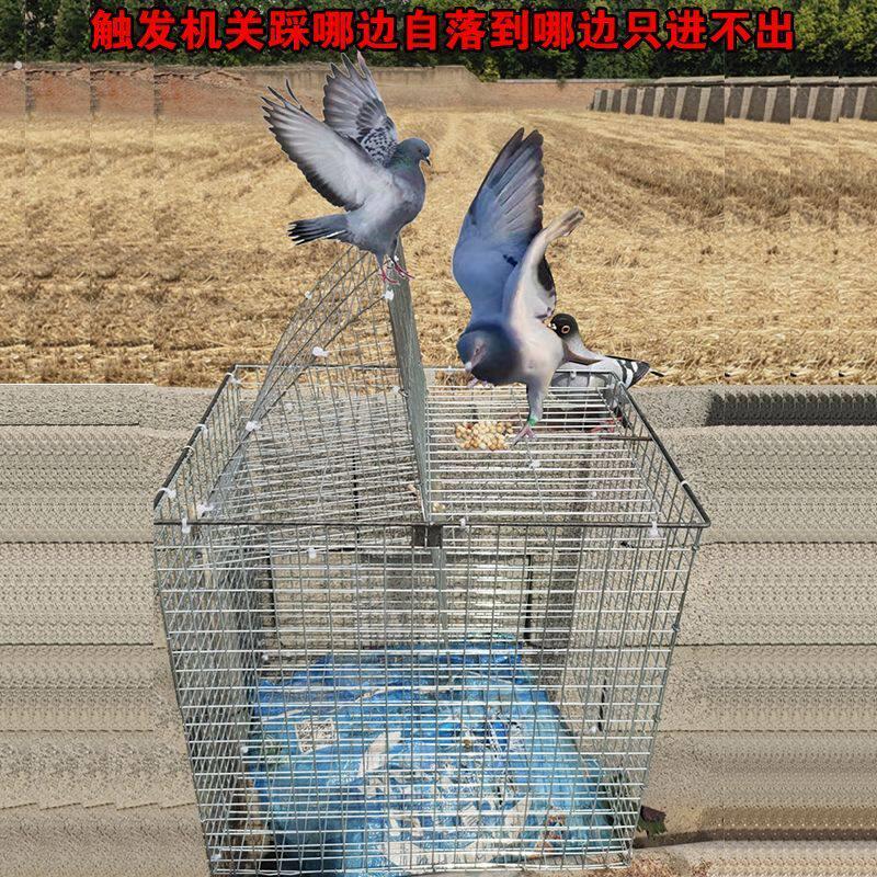 多功能天落笼捕户外捉神器鸽子新款鸽笼自动天落鸟笼旋转笼翻板笼