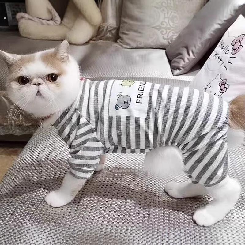 猫咪衣服四脚防掉毛睡衣春夏款英短蓝猫布偶猫幼猫宠物狗狗家居服