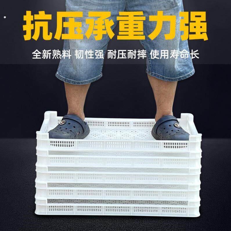 单冻器塑料冷冻筐晾晒筐海参干货多层矮扁框烘干托盘耐高温