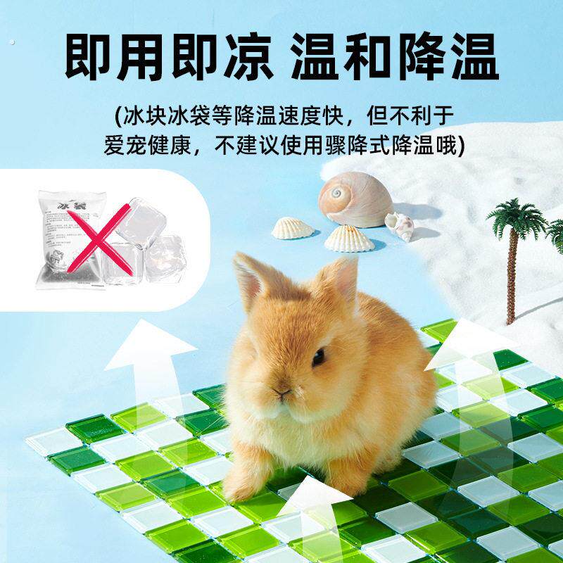 兔子冰垫夏天降温神器仓鼠降温板凉席宠物冰窝兔兔冰凉空调龙猫