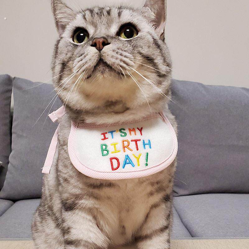 厂家直供宠物猫咪围兜节日过节生日围兜宠物用品围脖三角巾