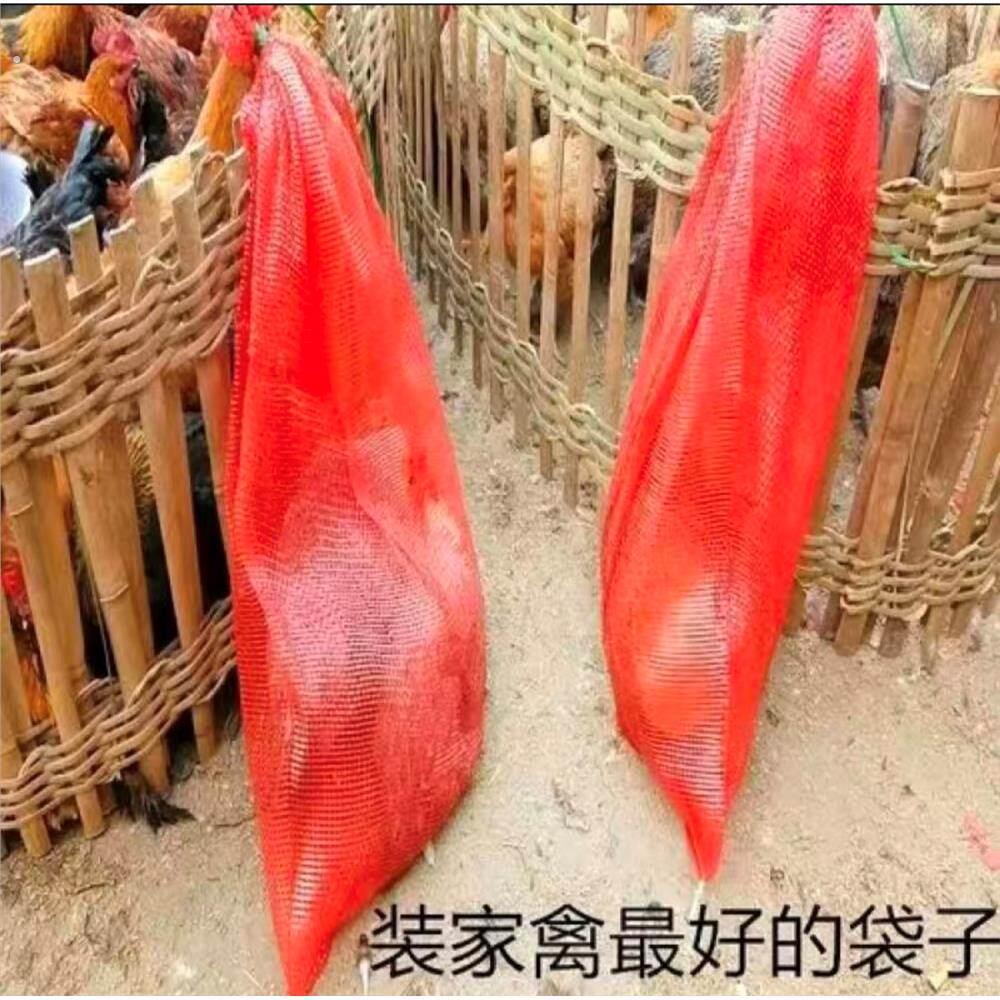 装鸡网袋装鸡袋网袋玉米网袋加厚加密大号蔬菜网袋网兜