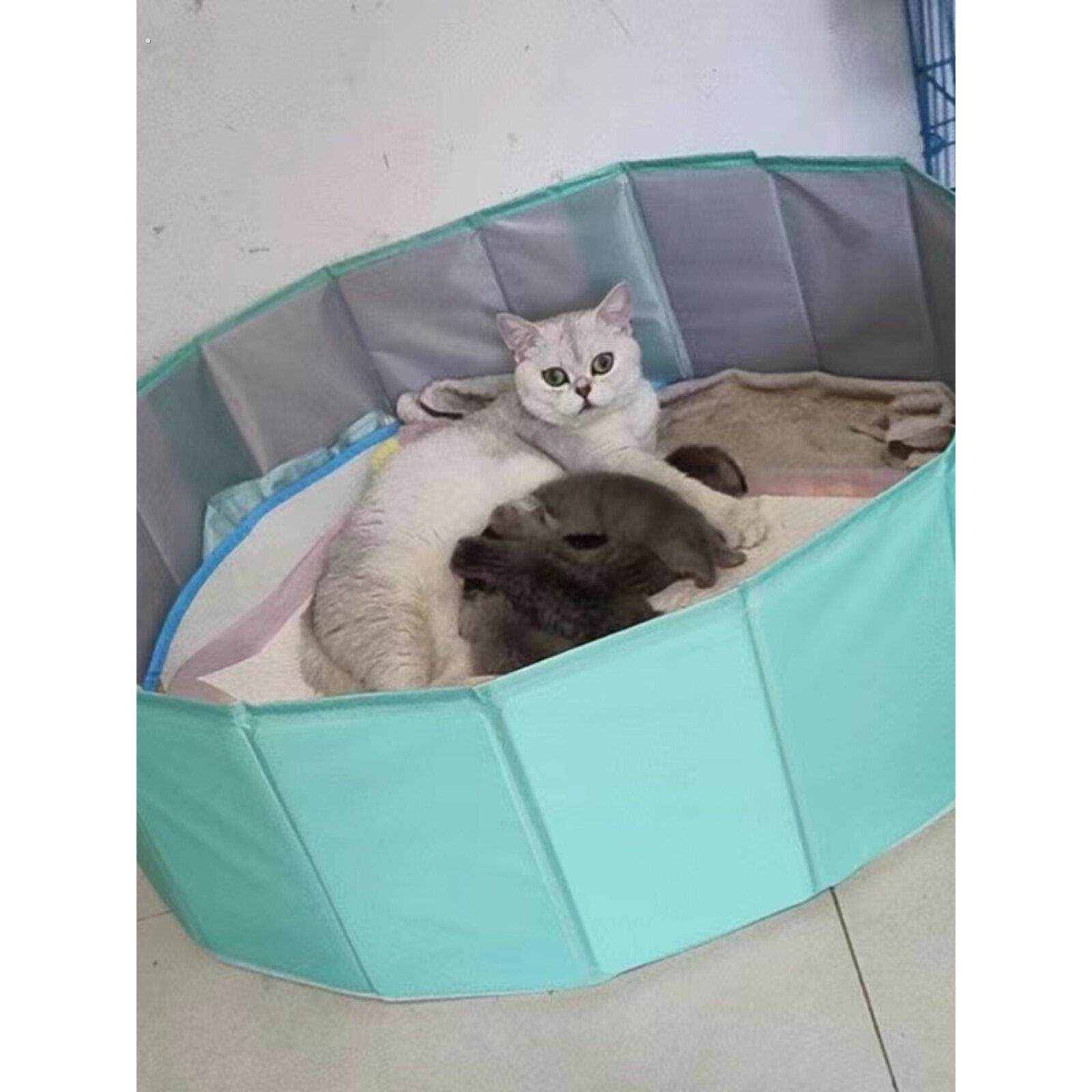 简易大型猫砂盒,可折叠,超大紧急便携式猫产房,宠物窝,狗产房