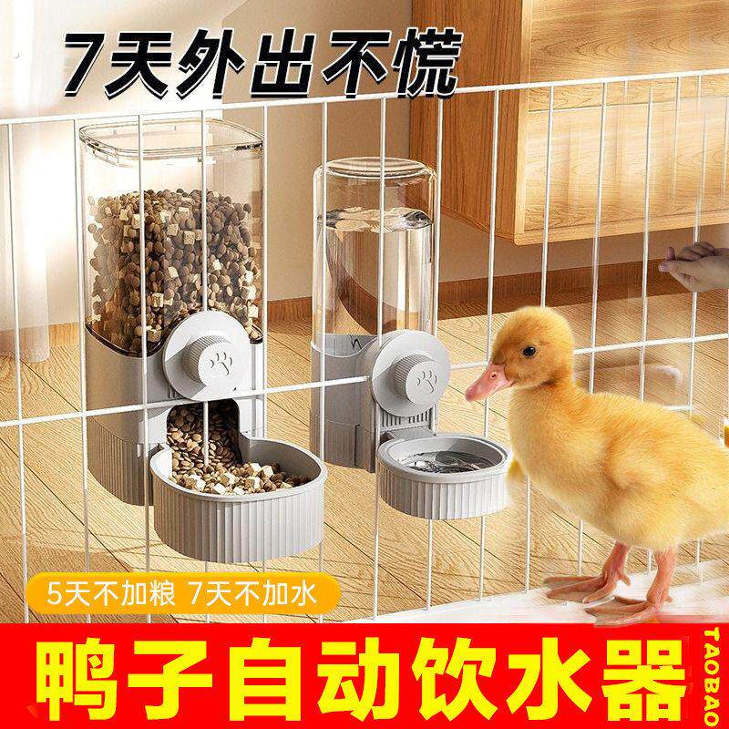 小鸭子自动饮水器喂食器挂式防打翻柯尔鸭芦丁鸡食盆水壶吃饭的碗