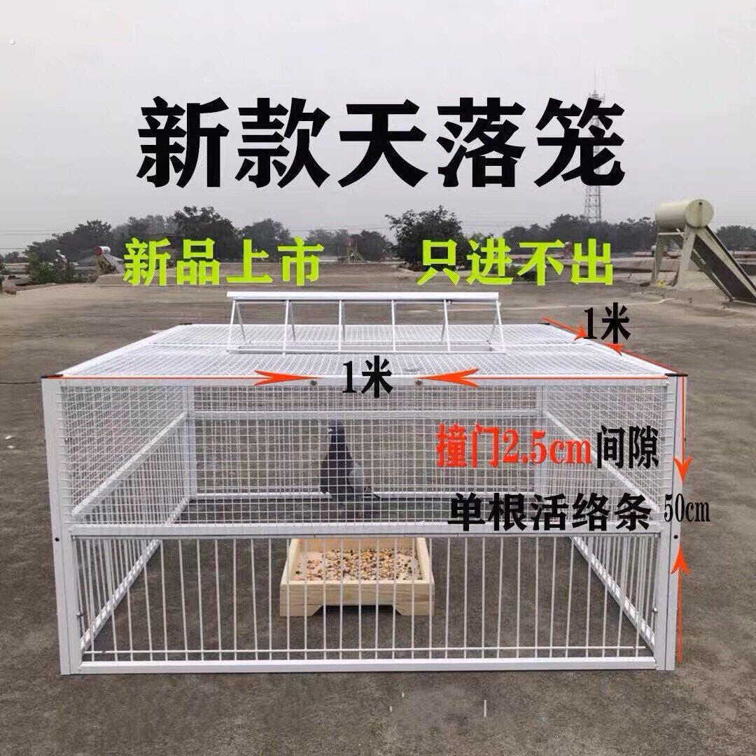 鸽子诱捕器天落笼只进不出鸽子笼加密收鸽笼活络门户外自动收鸽器