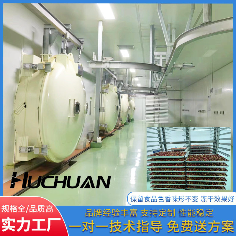 整颗草莓冻干机商用大型果蔬冷冻干燥成套设备山楂榴莲冻干机厂家