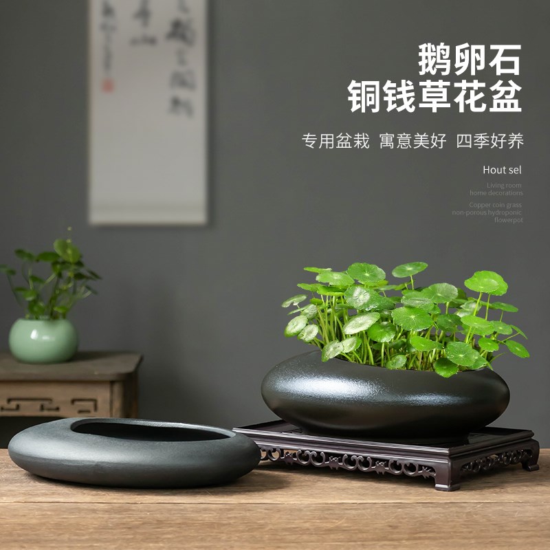 铜钱草专用水培花盆陶瓷大号无孔金钱草水养绿植摆件黑白椭圆带拖