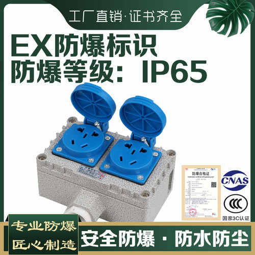 防爆插座220V五孔明装暗装通用10A/16A多孔86型工业防水消防开关
