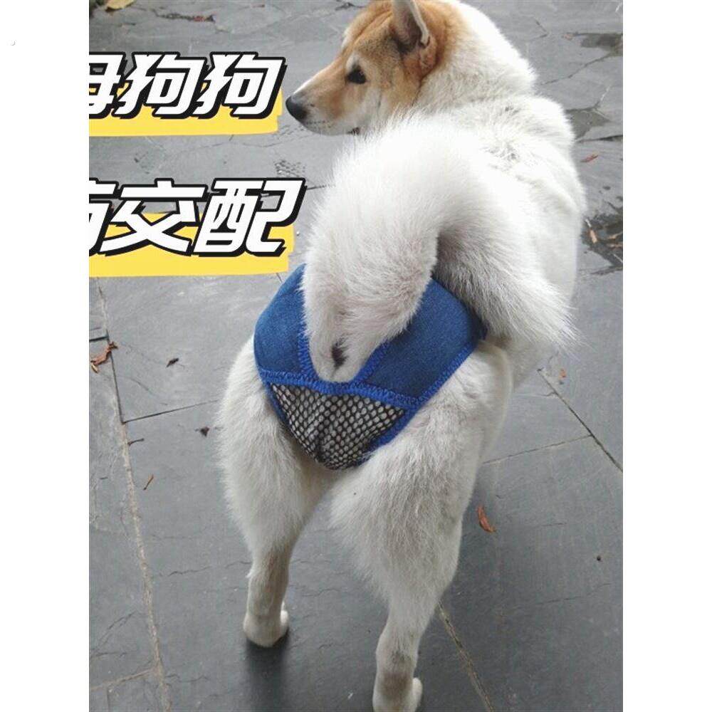 母狗防交配神器狗狗生理裤母狗狗宠物生理期安全裤发情小型犬防止