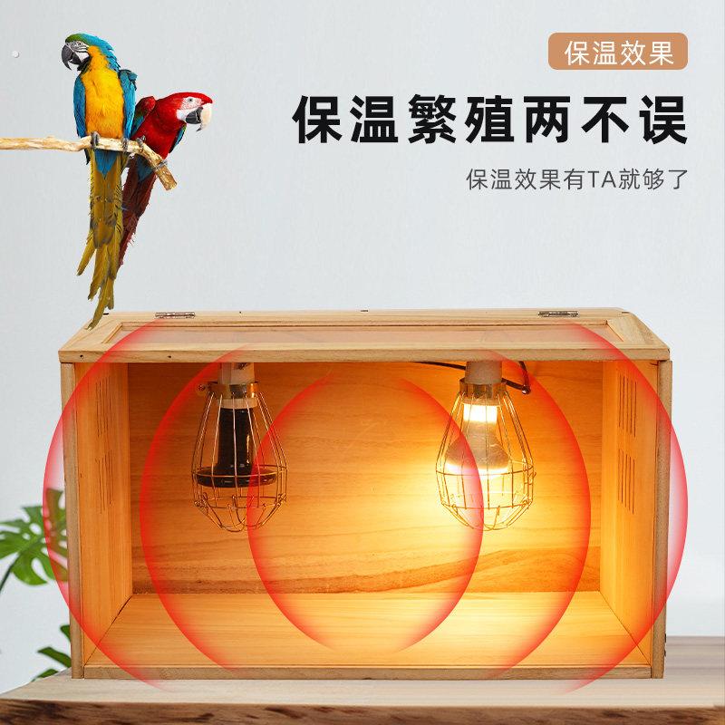 虎皮玄凤鹦鹉保温箱雏鸟幼鸟牡丹恒温鸽子鸡宠物芦丁鸡饲养箱鸟笼