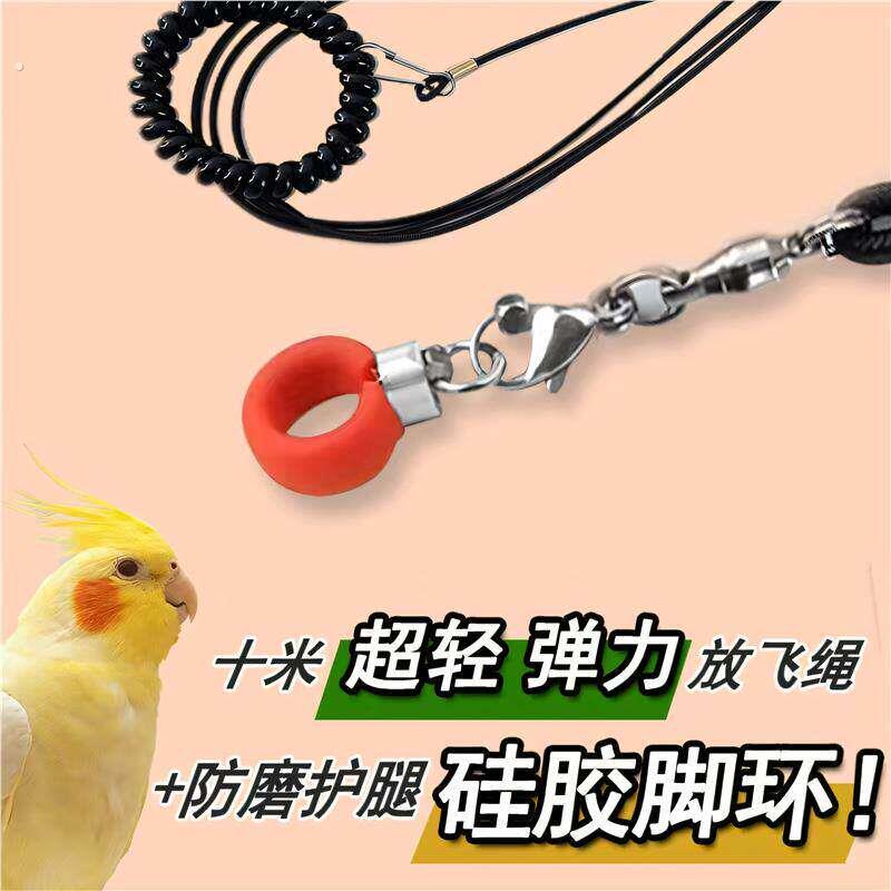 鹦鹉专用脚环放飞绳不伤脚超轻外出训练绳脚环脚链遛鸟飞行绳